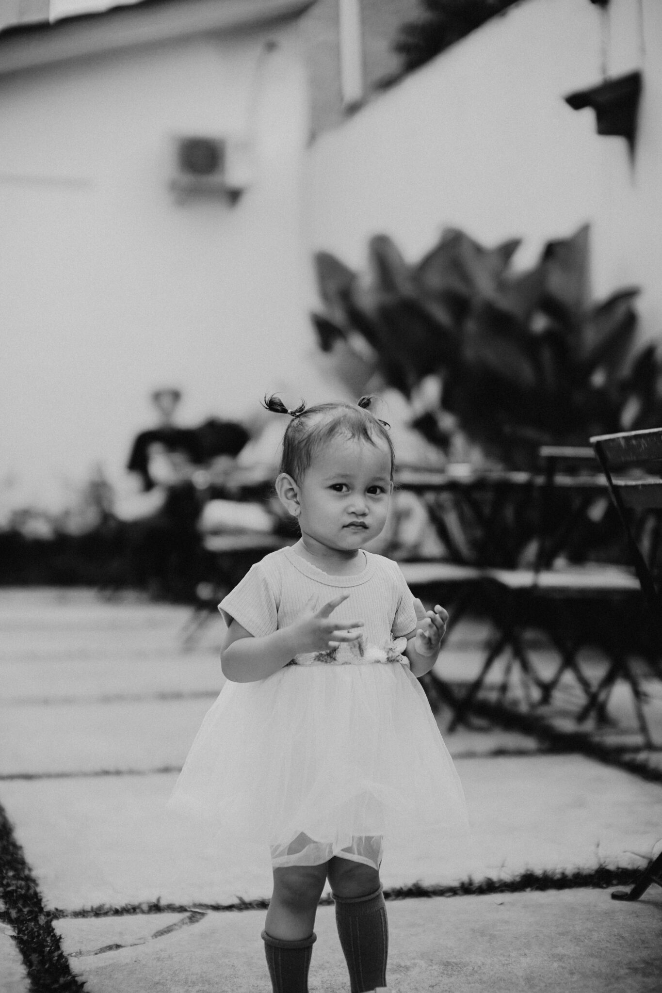 DSC07686